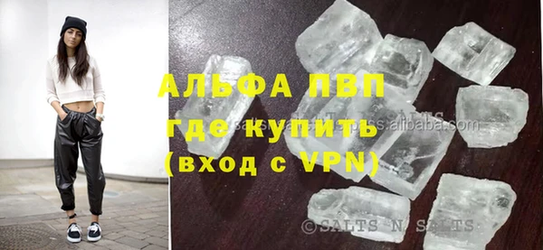 сатива Балахна