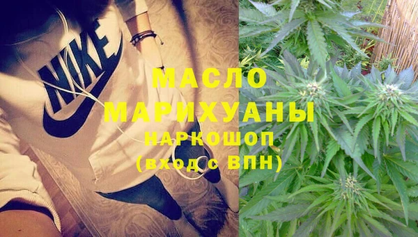 сатива Балахна