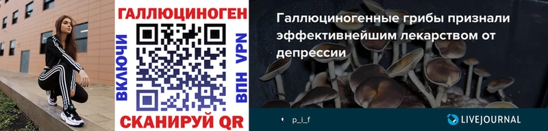 магазин продажи   Корсаков  Псилоцибиновые грибы Psilocybine cubensis 